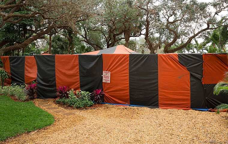 large fumigation tent
