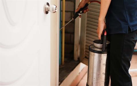 technician spraying in home