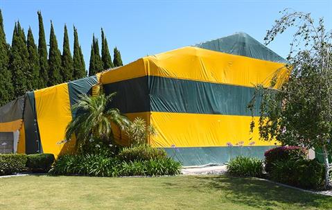 Tent