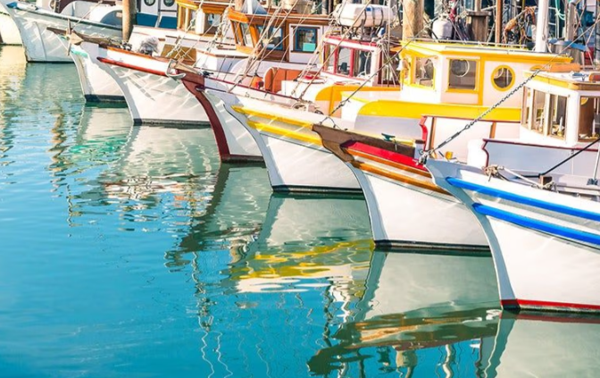 boats at a marina